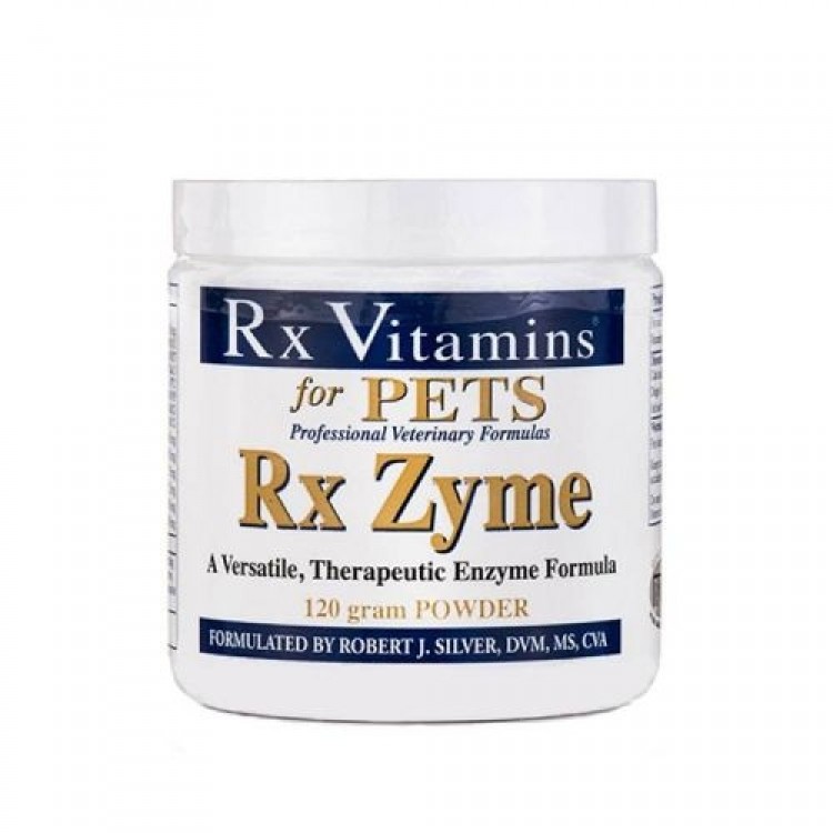 RX Zyme Pulbere 120 g Rx Vitamins